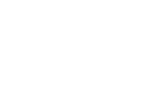 tranquil-logo-full-white-01